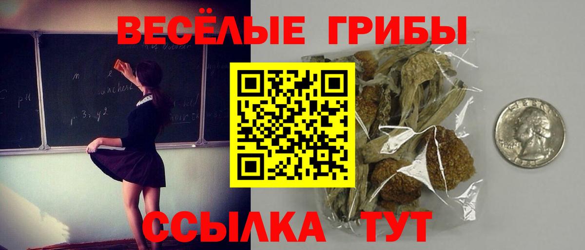 Галлюциногенные грибы Cubensis  Вход с VPN  Армавир 