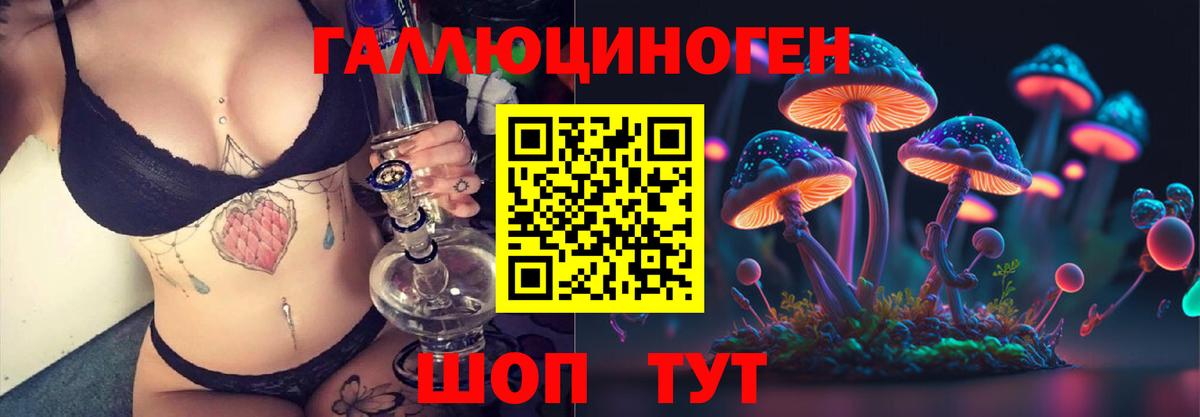Галлюциногенные грибы GOLDEN TEACHER Армавир